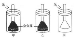 某生物興趣小組為探究綠色植物的 光合作用和呼吸作用,設(shè)計(jì)了如下實(shí)驗(yàn)裝置.請(qǐng)分析作答: (1) 若要探究光是光合作用的必要條件.應(yīng)該選擇的實(shí)驗(yàn)裝置組合是 .若要探究氧氣是由綠色植物在光下產(chǎn)生的.應(yīng)該選擇的實(shí)驗(yàn)裝置組合是 .(2) 甲裝置試管中收集的氣體可以使帶火星的衛(wèi)生香復(fù)燃.說明綠色植物的光合作用釋放出 .(3) 有同學(xué)利用甲裝置進(jìn)行了進(jìn)一步探究,實(shí)驗(yàn)題目和參考答案-