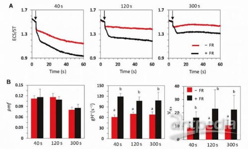 遠紅光在波動光的弱光階段加速光合作用