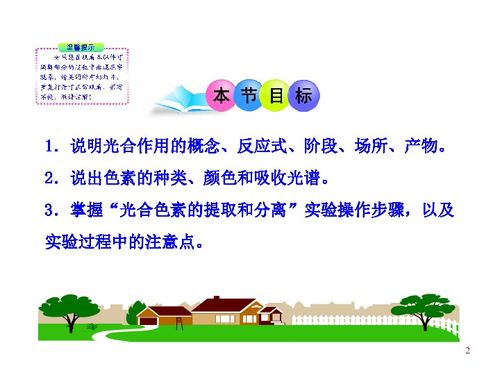 第三章 第五節 第一課時 光合作用概述 葉綠素和其他色素 浙科版必修1 浙江專用 下載 生物