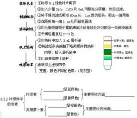 高考生物學知識要點的自我梳理 二