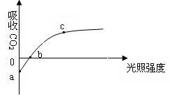 14分 某研究者利用栽在花盆中的植物,對植物的光合作用與呼吸作用進行了相關(guān)的研究,圖甲表示此盆綠色植物在兩種不同溫度下釋放氧氣的快慢與光照強度的關(guān)系,圖乙是測定圖甲縱坐標上