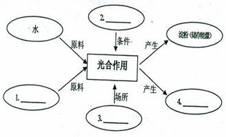 如圖甲表示春季晴天某密閉大棚內一晝夜co2濃度的變化,圖乙曲線a表示某種植物在20 co2濃度為0.03 的環境中隨著光照強度的變化光合作用合成量的變化,在b點時改變條件