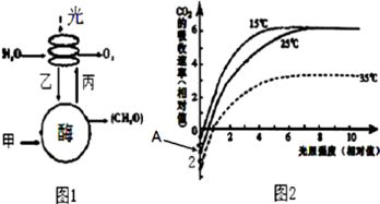 辣椒是我國栽培面積最大的蔬菜作物之一.圖1是辣椒植株光合作用示意圖,圖2是將辣椒植株置于co2濃度適宜